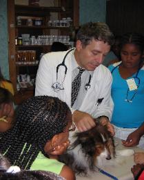 Image of a dog wearing a stethoscope